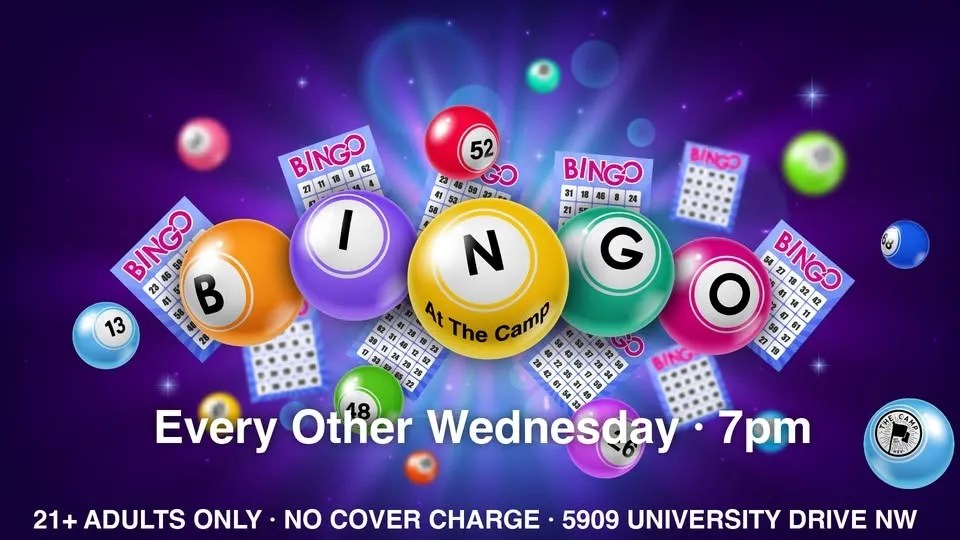 Bingo Bingo