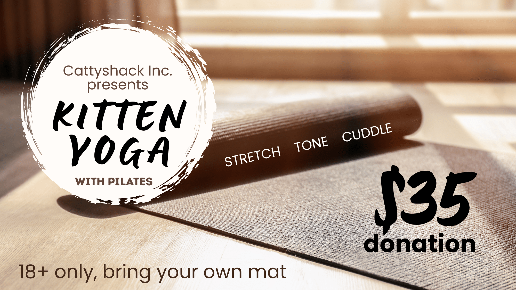 Kitten Yoga & Pilates at Cattyshack Kitten Yoga & Pilates at Cattyshack