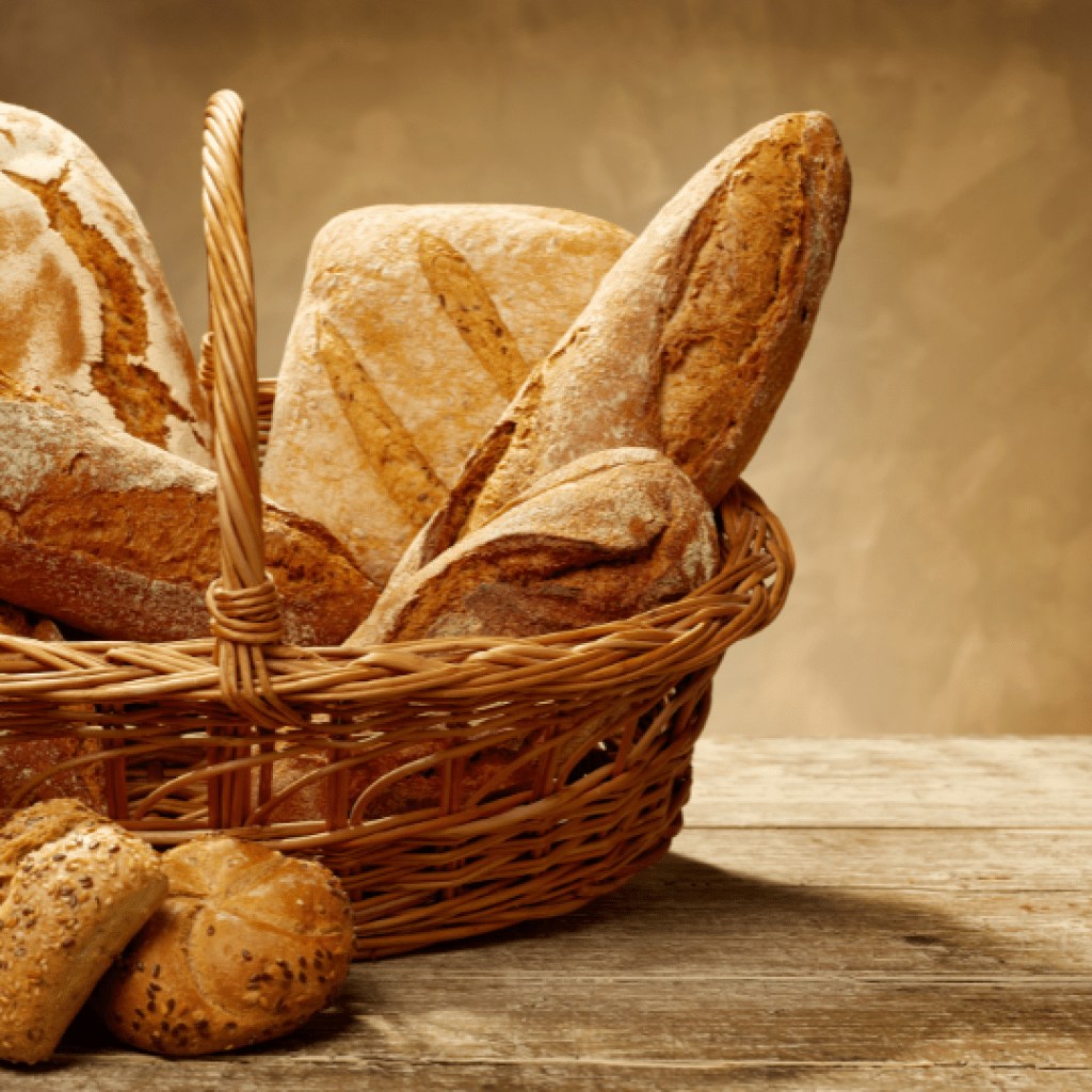 Still Life Days: Open Studio for Drawing, Painting, and Sculpting Still Life Days: Open Studio for Drawing, Painting, and Sculpting