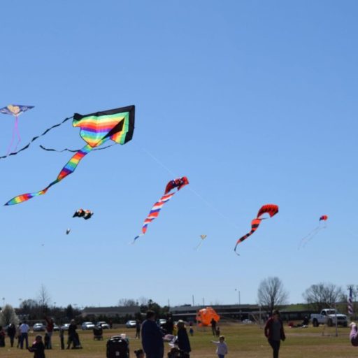 Take to the sky at the Community Kite Festival in John Hunt Park—Sat. March 5th Take to the sky at the Community Kite Festival in John Hunt Park—Sat. March 5th