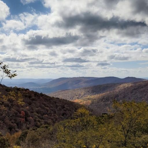 The Appalachians reach all the way to North Alabama—How to get involved in conservation efforts The Appalachians reach all the way to North Alabama—How to get involved in conservation efforts