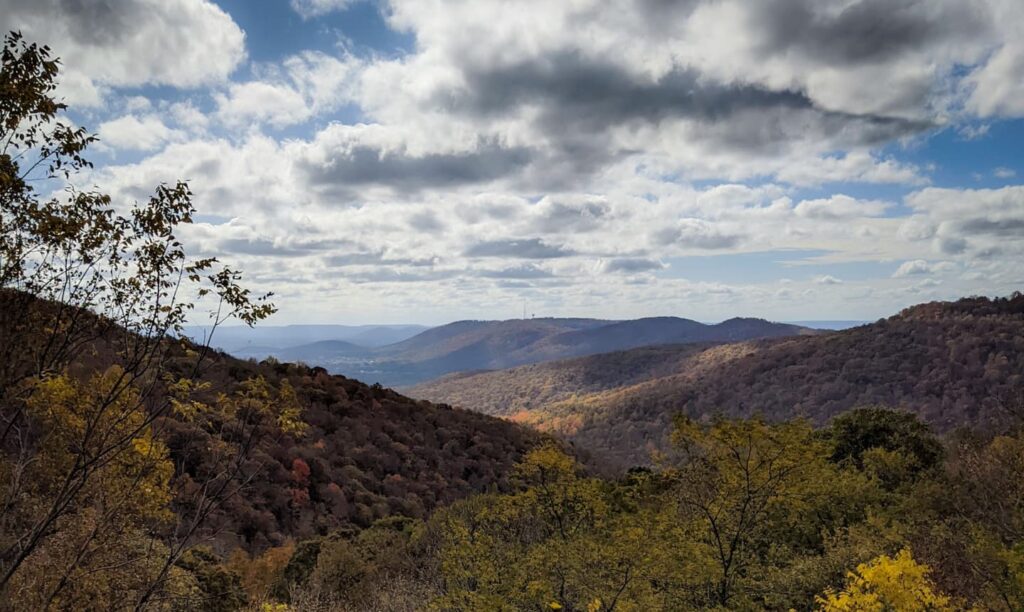 The Appalachians reach all the way to North Alabama—How to get involved in conservation efforts The Appalachians reach all the way to North Alabama—How to get involved in conservation efforts