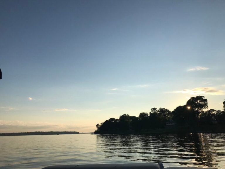 3 ways to get involved with conservation in Huntsville 3 ways to get involved with conservation in Huntsville