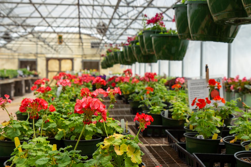 Huntsville Botanical Garden Spring Plant Sale is now open to the public Huntsville Botanical Garden Spring Plant Sale is now open to the public