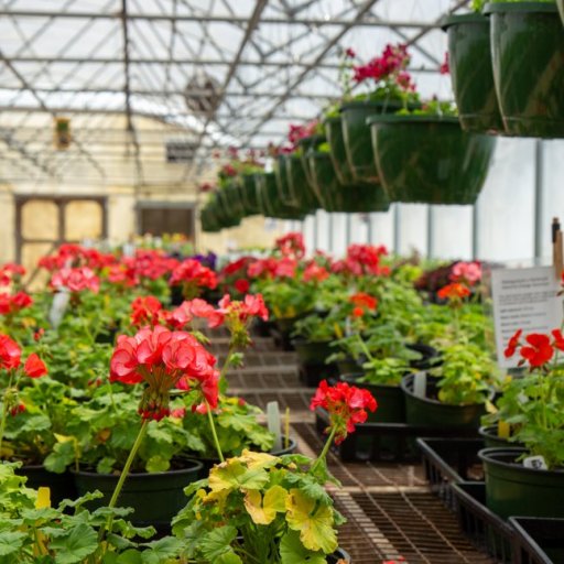 Huntsville Botanical Garden Spring Plant Sale is now open to the public Huntsville Botanical Garden Spring Plant Sale is now open to the public