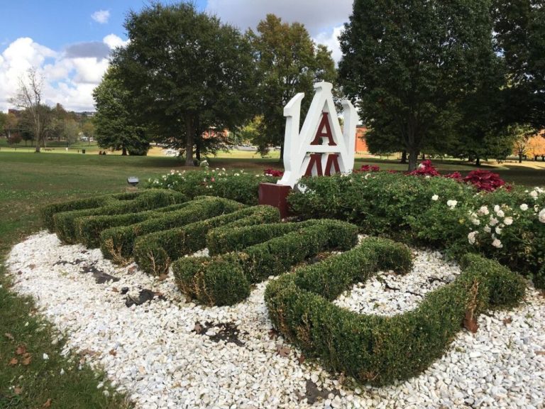 Alabama A&M announces members of new University Presidential Advisory Council Alabama A&M announces members of new University Presidential Advisory Council