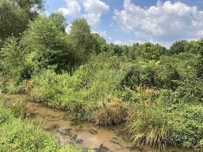 Land Trust of North Alabama receives donation of 176 acres Land Trust of North Alabama receives donation of 176 acres