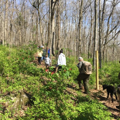 Preserving Chapman Mountain: Land Trust of North Alabama needs your help Preserving Chapman Mountain: Land Trust of North Alabama needs your help