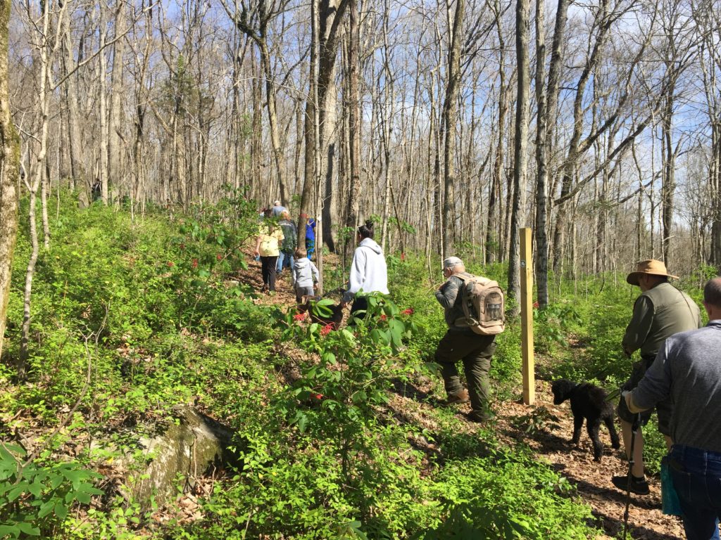Preserving Chapman Mountain: Land Trust of North Alabama needs your help Preserving Chapman Mountain: Land Trust of North Alabama needs your help