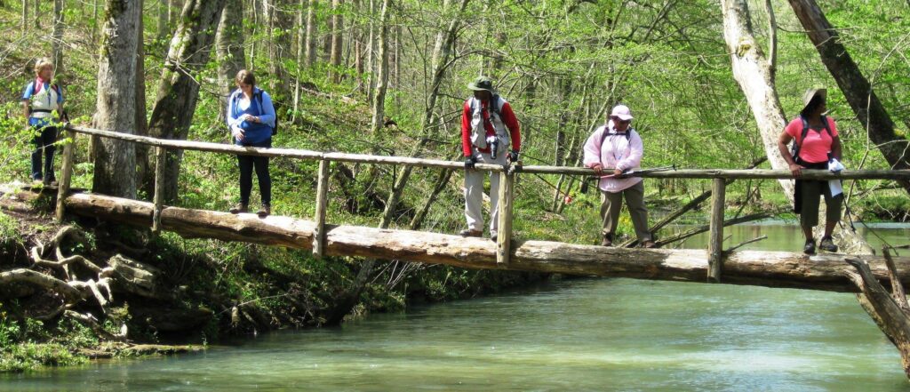 Land Trust aims to protect the Paint Rock River with fundraiser Land Trust aims to protect the Paint Rock River with fundraiser
