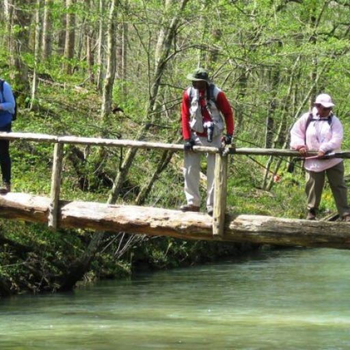 Land Trust aims to protect the Paint Rock River with fundraiser Land Trust aims to protect the Paint Rock River with fundraiser