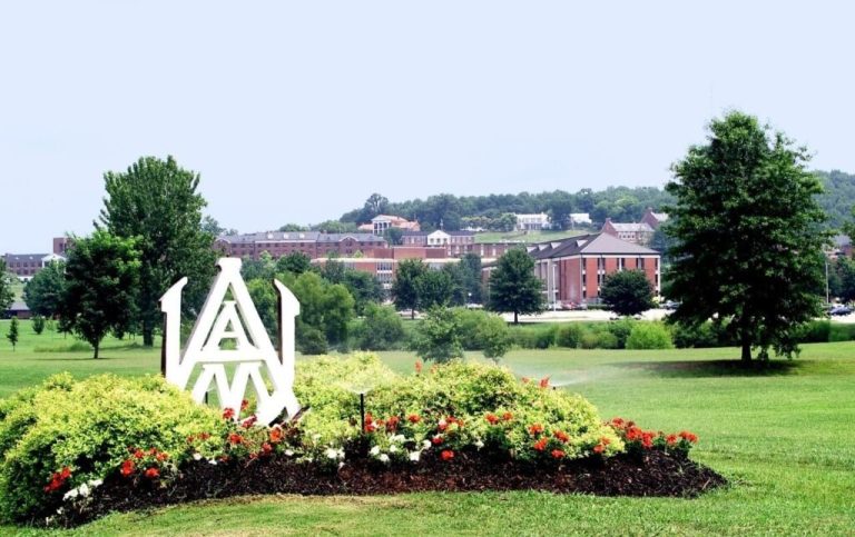 Alabama A&M one of 15 HBCUs to participate in cybersecurity education initiative Alabama A&M one of 15 HBCUs to participate in cybersecurity education initiative