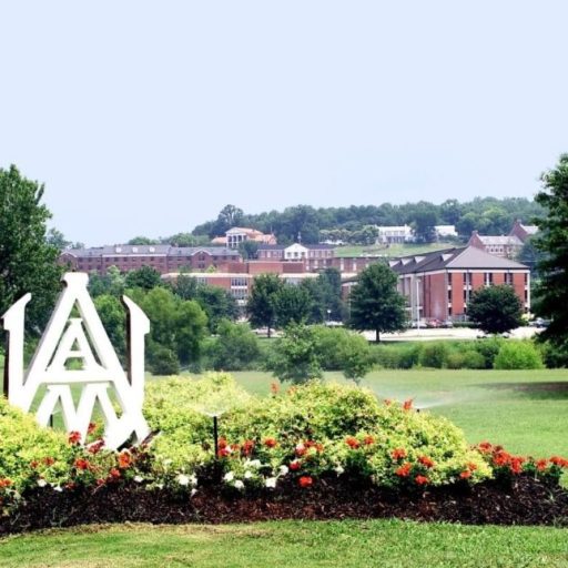 Alabama A&M one of 15 HBCUs to participate in cybersecurity education initiative Alabama A&M one of 15 HBCUs to participate in cybersecurity education initiative