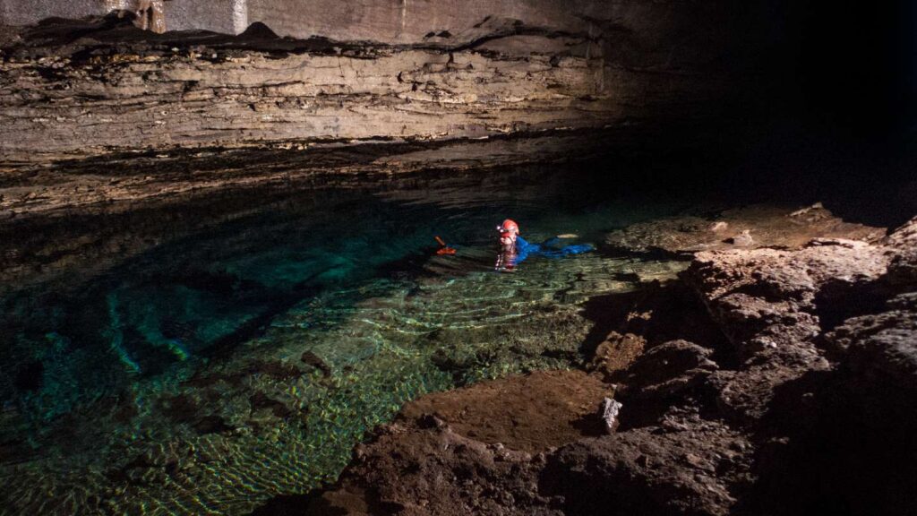 Rare crayfish, once thought to be extinct, discovered in Huntsville cave Rare crayfish, once thought to be extinct, discovered in Huntsville cave
