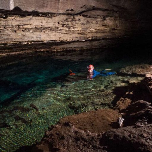 Rare crayfish, once thought to be extinct, discovered in Huntsville cave Rare crayfish, once thought to be extinct, discovered in Huntsville cave
