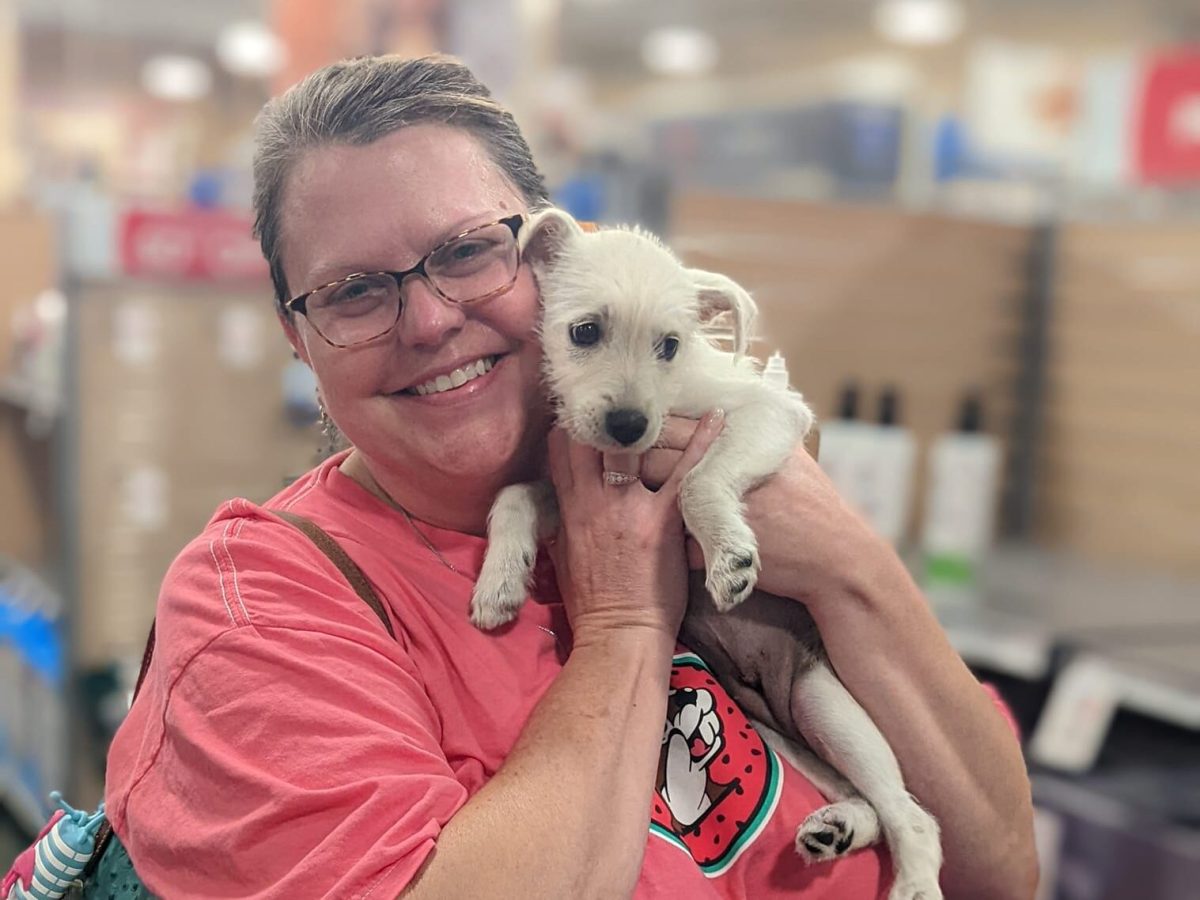9 Huntsville-area animal shelters you can support right now 9 Huntsville-area animal shelters you can support right now