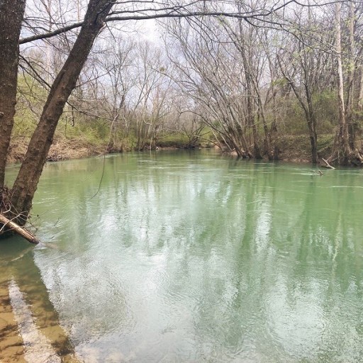 Paint Rock River preservation efforts nearing Nov. 1 deadline Paint Rock River preservation efforts nearing Nov. 1 deadline