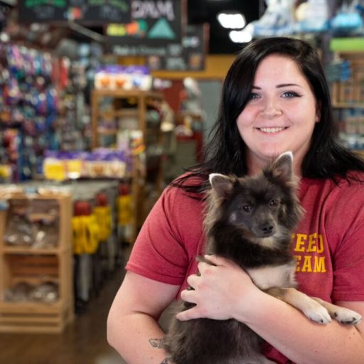 Why Hollywood Feed will be your furry friend’s favorite pet store Why Hollywood Feed will be your furry friend’s favorite pet store