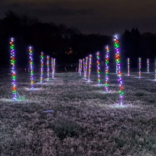 4 UAH engineering students create light show for Huntsville Botanical Garden 4 UAH engineering students create light show for Huntsville Botanical Garden