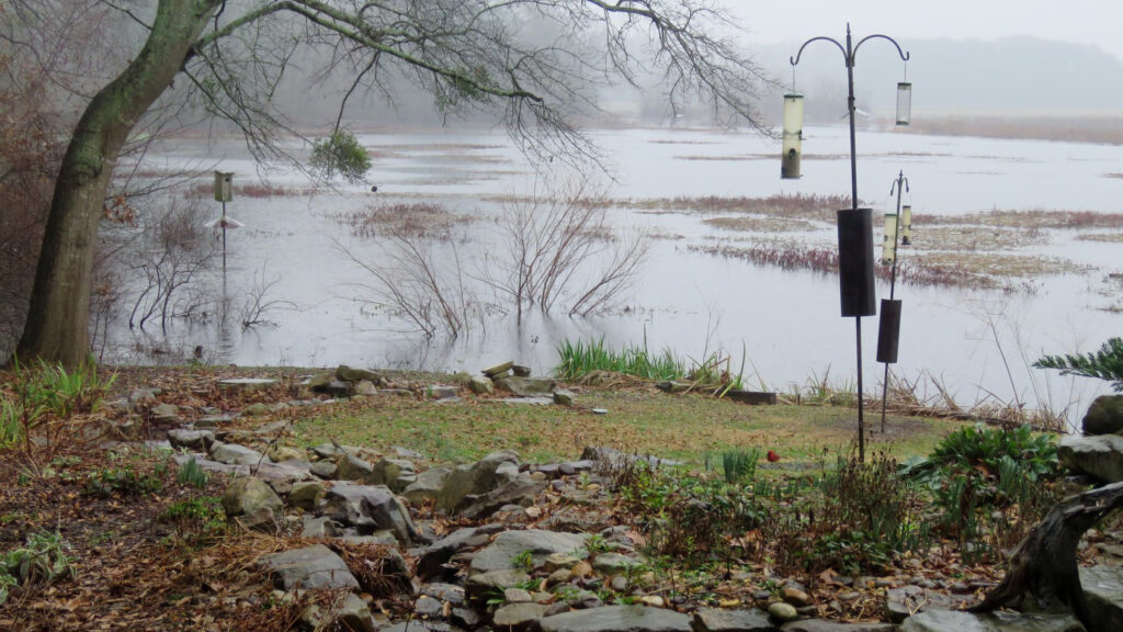 New facilities at Wheeler National Wildlife Refuge near completion New facilities at Wheeler National Wildlife Refuge near completion