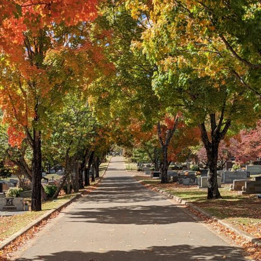 Maple Hill Cemetery is an Alabama treasure Maple Hill Cemetery is an Alabama treasure