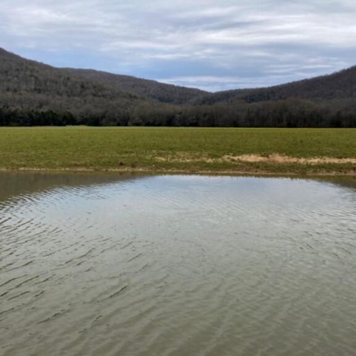 Land Trust secures funds for Paint Rock River preservation Land Trust secures funds for Paint Rock River preservation