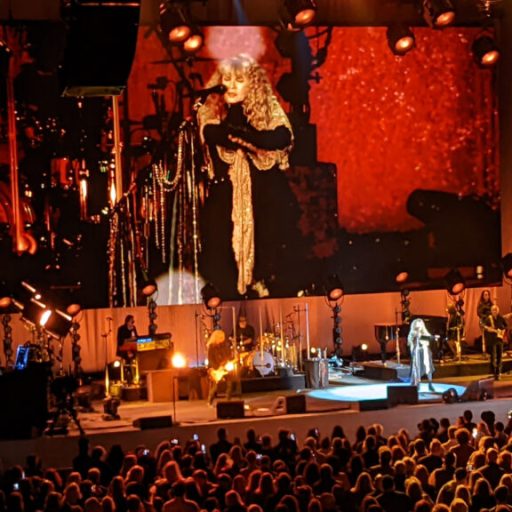 Halloween with Stevie Nicks – what an experience! Halloween with Stevie Nicks – what an experience!