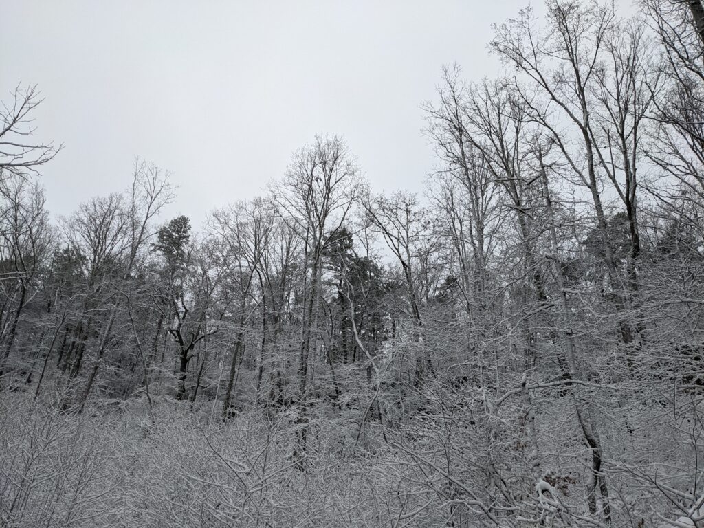 Extreme cold is coming + maybe snow—what you need to know Extreme cold is coming + maybe snow—what you need to know