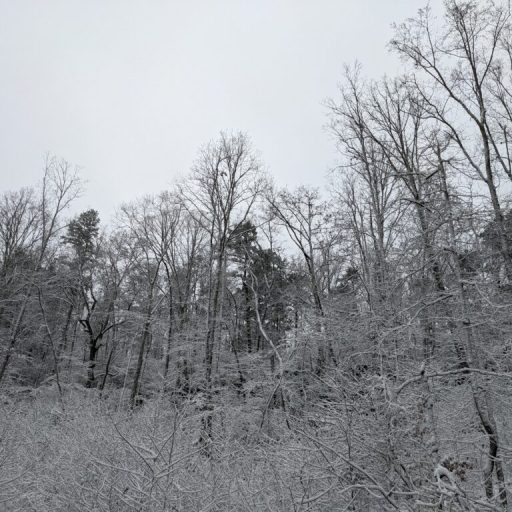 Extreme cold is coming + maybe snow—what you need to know Extreme cold is coming + maybe snow—what you need to know