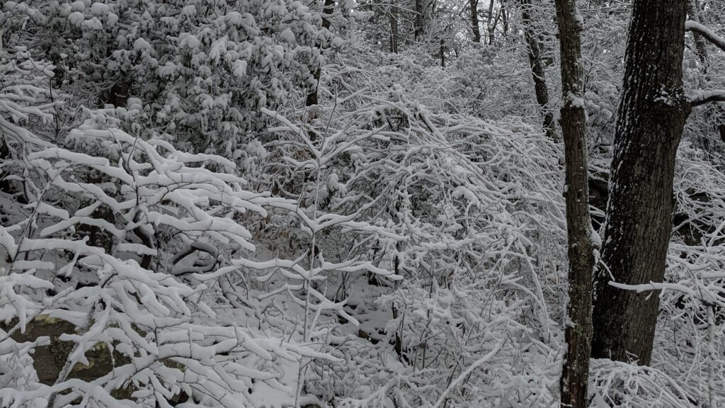 Many North Alabama roads impassable, authorities ask motorists to delay morning commute Many North Alabama roads impassable, authorities ask motorists to delay morning commute