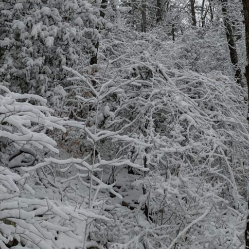 Many North Alabama roads impassable, authorities ask motorists to delay morning commute Many North Alabama roads impassable, authorities ask motorists to delay morning commute