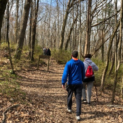 5 great winter hikes you should take in the Huntsville area 5 great winter hikes you should take in the Huntsville area