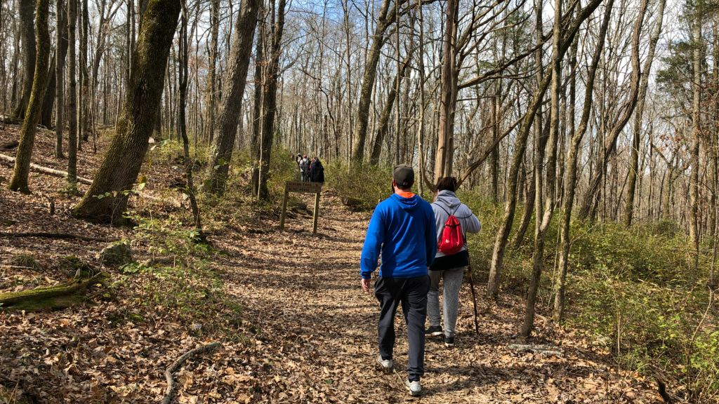5 great winter hikes you should take in the Huntsville area 5 great winter hikes you should take in the Huntsville area