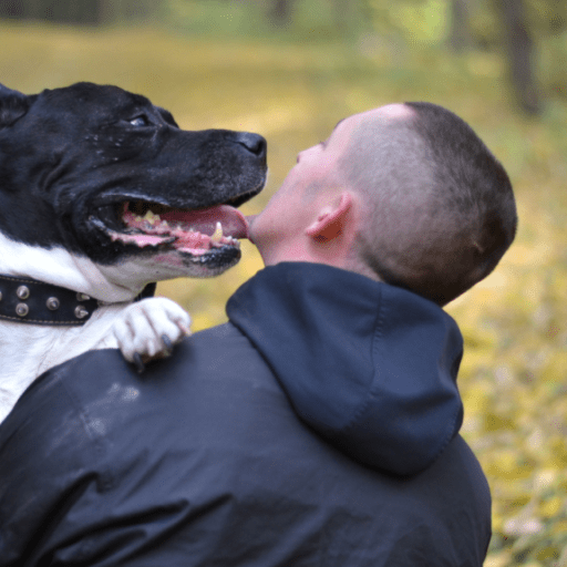 Huntsville Animal Services to waive adoption fees – cites ‘urgent need’ Huntsville Animal Services to waive adoption fees – cites ‘urgent need’