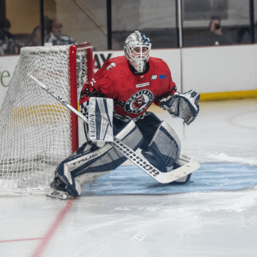 Havoc hockey, WWE wrestling + 13 more events in Huntsville this weekend Havoc hockey, WWE wrestling + 13 more events in Huntsville this weekend