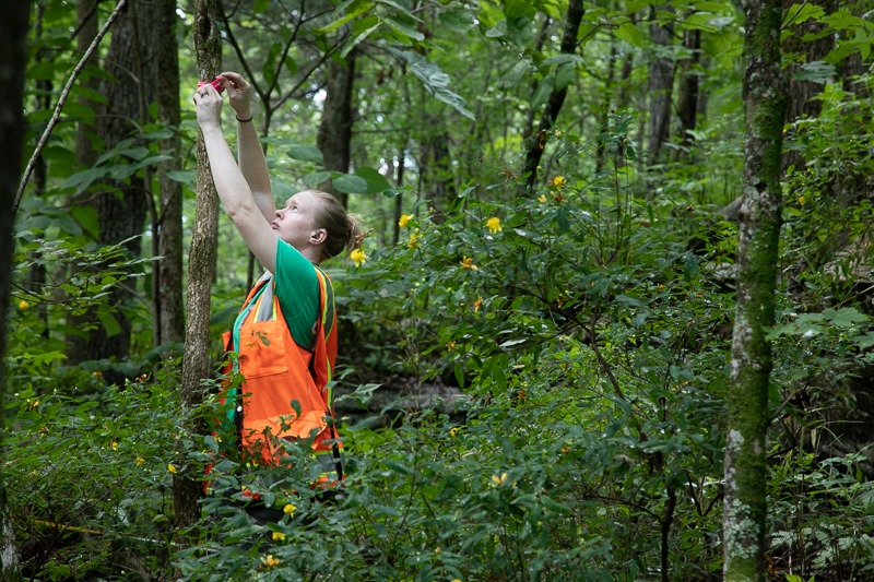 Electric bike becomes new research tool at Paint Rock Electric bike becomes new research tool at Paint Rock