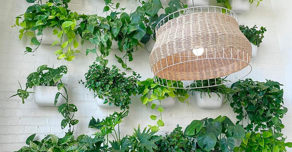 5 Huntsville nurseries that will help you build a stunning spring garden 5 Huntsville nurseries that will help you build a stunning spring garden