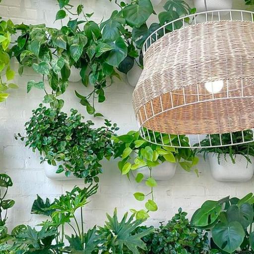 5 Huntsville nurseries that will help you build a stunning spring garden 5 Huntsville nurseries that will help you build a stunning spring garden