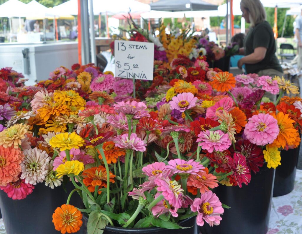 Bad day? Top places in Huntsville to cheer you up immediately Bad day? Top places in Huntsville to cheer you up immediately