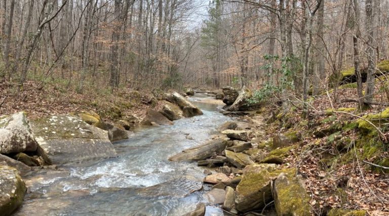 Land Trust named new caretaker of Cane Creek Land Trust named new caretaker of Cane Creek