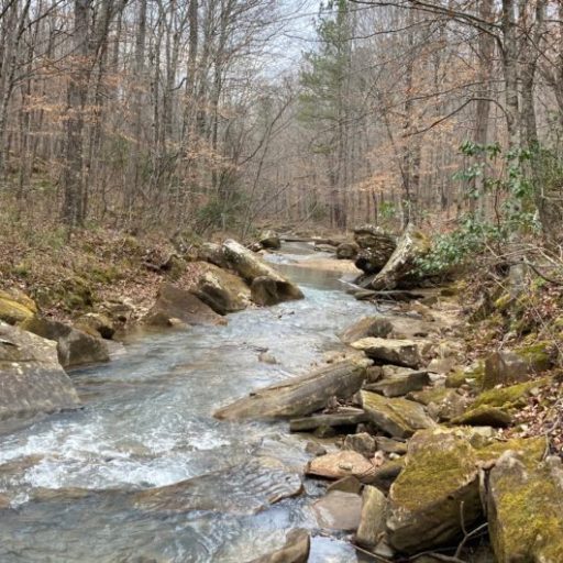 Land Trust named new caretaker of Cane Creek Land Trust named new caretaker of Cane Creek