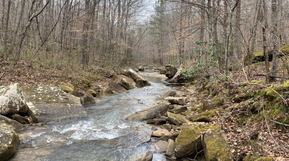 Land Trust named new caretaker of Cane Creek Land Trust named new caretaker of Cane Creek