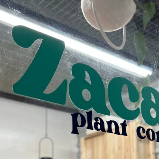 There’s a beautiful new plant store opening in downtown Huntsville There’s a beautiful new plant store opening in downtown Huntsville
