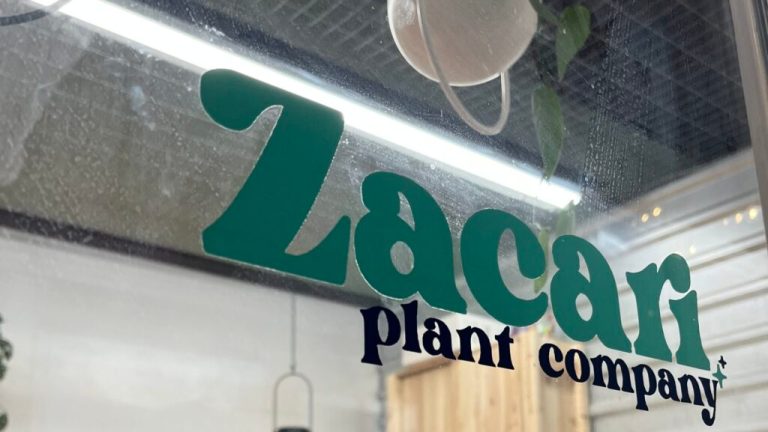 There’s a beautiful new plant store opening in downtown Huntsville There’s a beautiful new plant store opening in downtown Huntsville