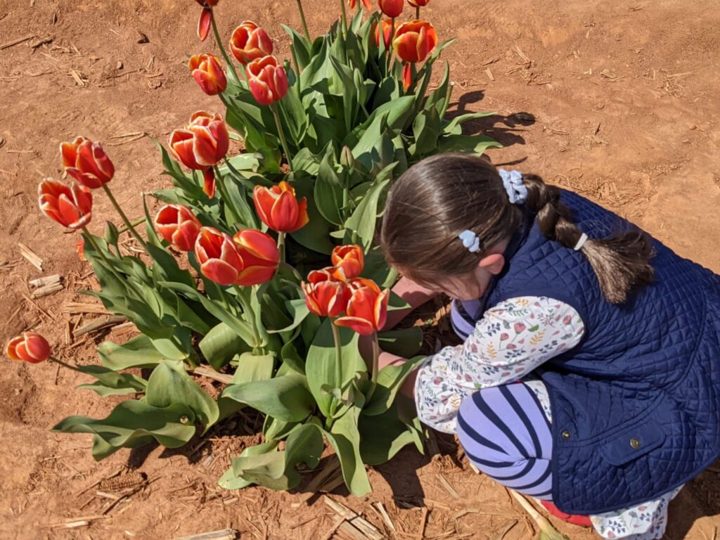 New Market’s Hubert Family Farms featured in Southern Living New Market’s Hubert Family Farms featured in Southern Living