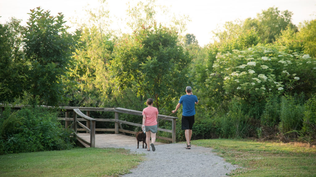 Check out what’s new at Harvest Square Nature Preserve Check out what’s new at Harvest Square Nature Preserve