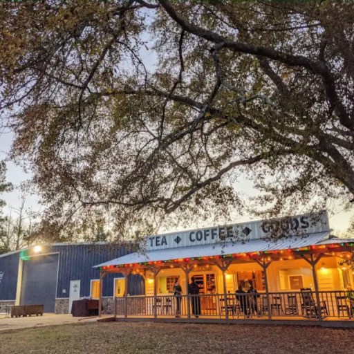 9 unique Airbnbs in the Huntsville area—treehouse, tea factory + more 9 unique Airbnbs in the Huntsville area—treehouse, tea factory + more