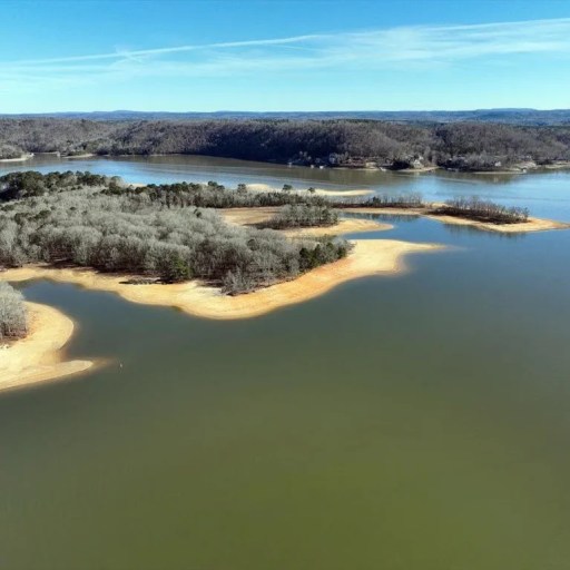 Top 5 stories last week in Huntsville—including an island for sale, new spots + dog events Top 5 stories last week in Huntsville—including an island for sale, new spots + dog events