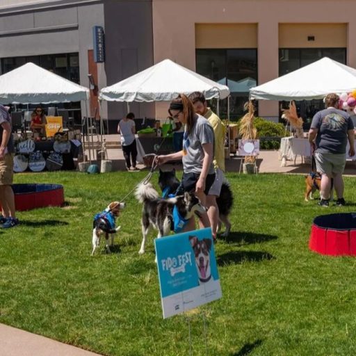 4 dog events in Huntsville this spring—Pup Palooza, Fido Fest and more 4 dog events in Huntsville this spring—Pup Palooza, Fido Fest and more