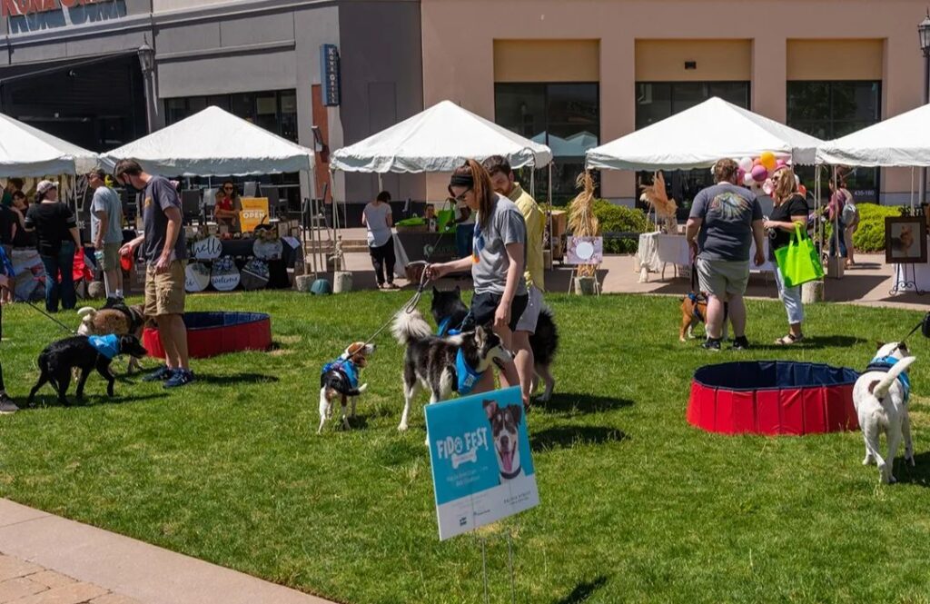 4 dog events in Huntsville this spring—Pup Palooza, Fido Fest and more 4 dog events in Huntsville this spring—Pup Palooza, Fido Fest and more